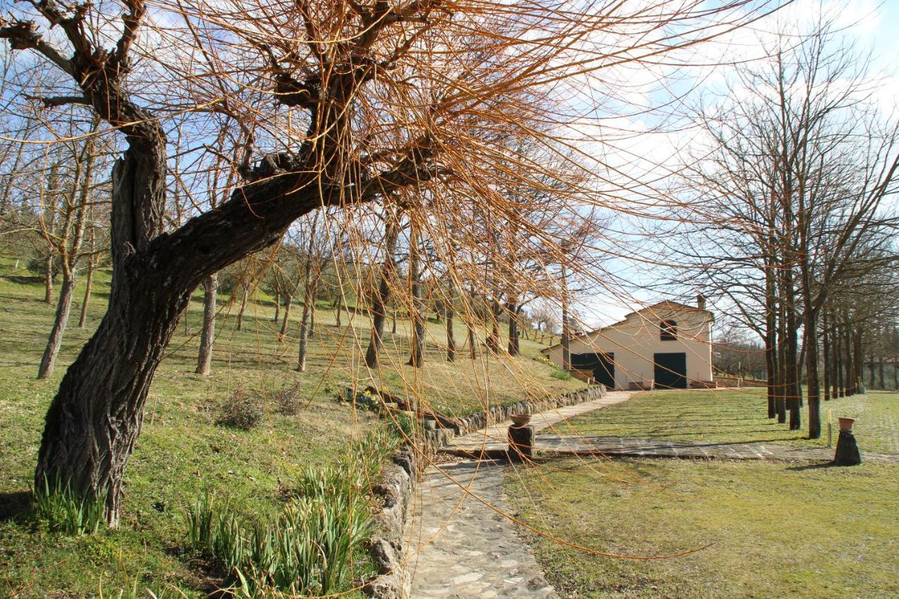 Podere La Campagnola San Gimignano Extérieur photo